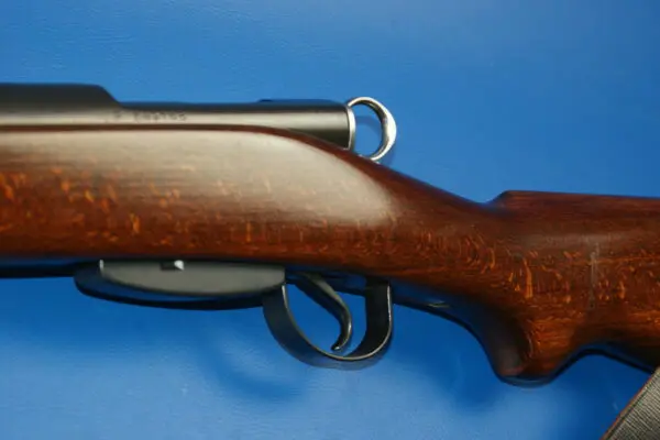 L41_Schmidt-Rubin_K31_75x55