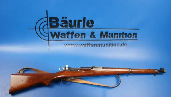 L41_Schmidt-Rubin_K31_75x55