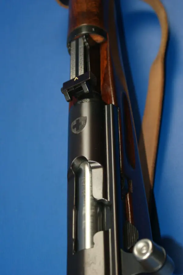 L41_Schmidt-Rubin_K31_75x55