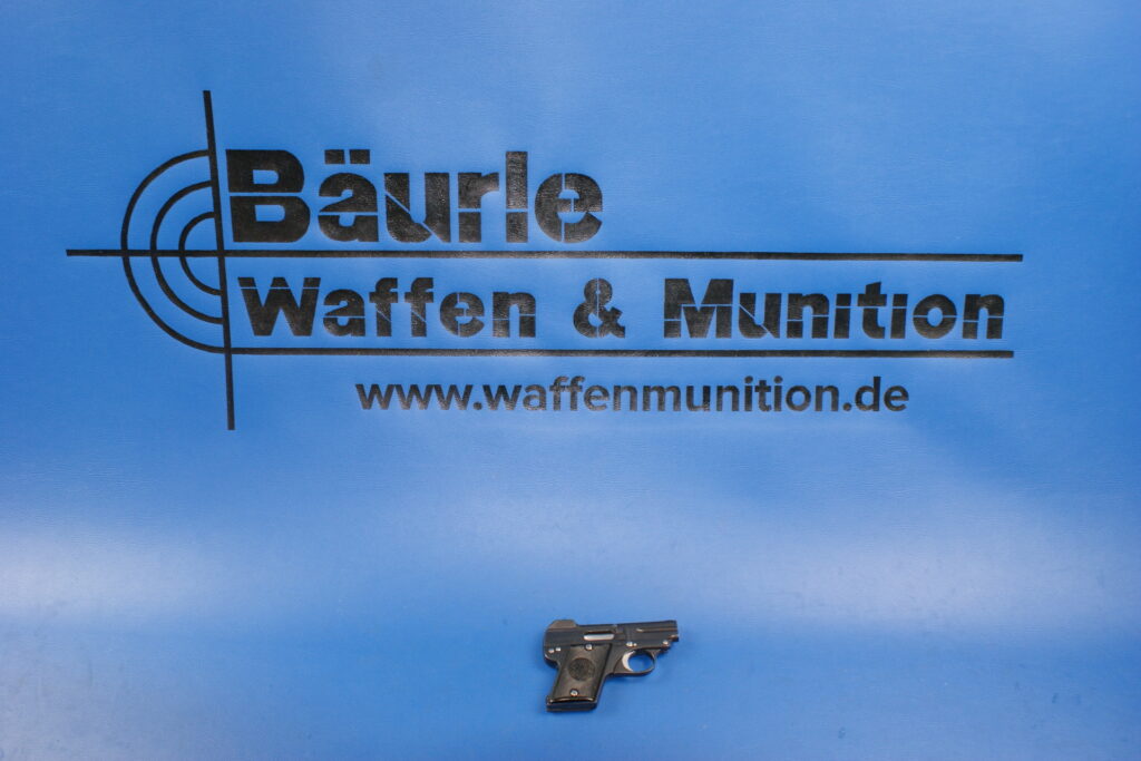 L369_Steyr_1909_635mmBrowning