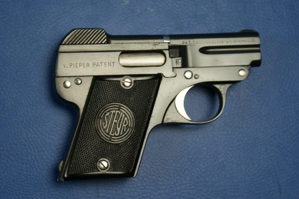 L369_Steyr_1909_635mmBrowning